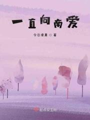 鸿雁往南飞歌词
